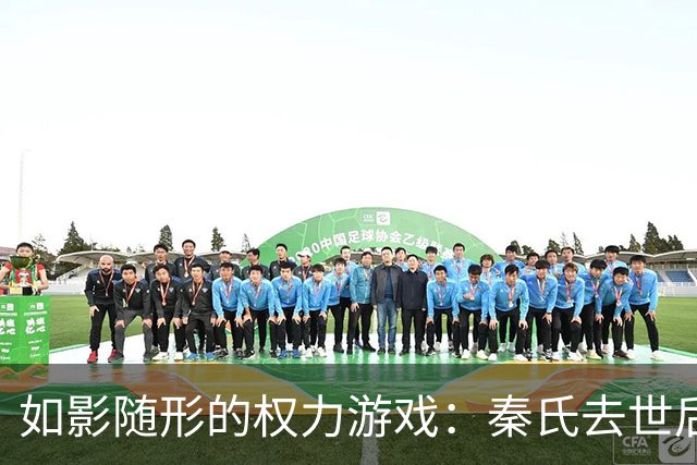 如影随形的权力游戏：秦氏去世后的家庭纠葛